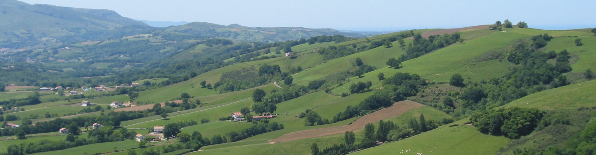 Banner agricole