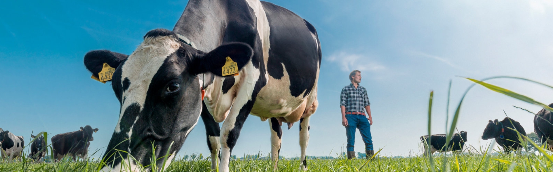 header_feeding_future_1900x500.jpg